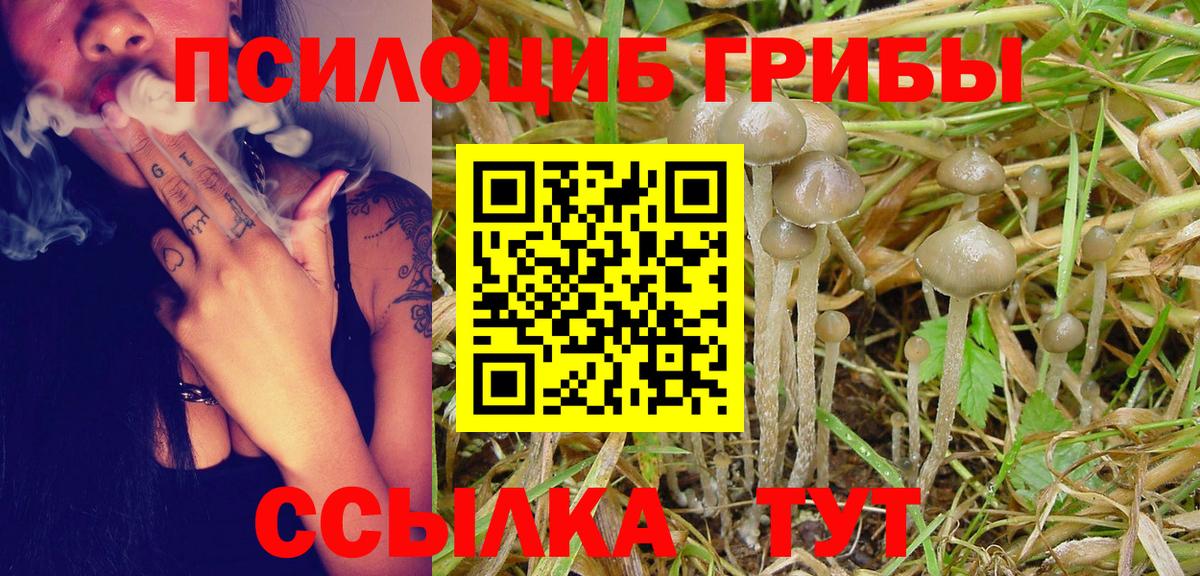 Славянск-на-Кубани  Псилоцибиновые грибы ЛСД  Псилоцибиновые грибы MAGIC MUSHROOMS  Вход с VPN 
