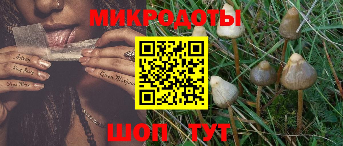 Псилоцибиновые грибы мухоморы Славянск-на-Кубани
